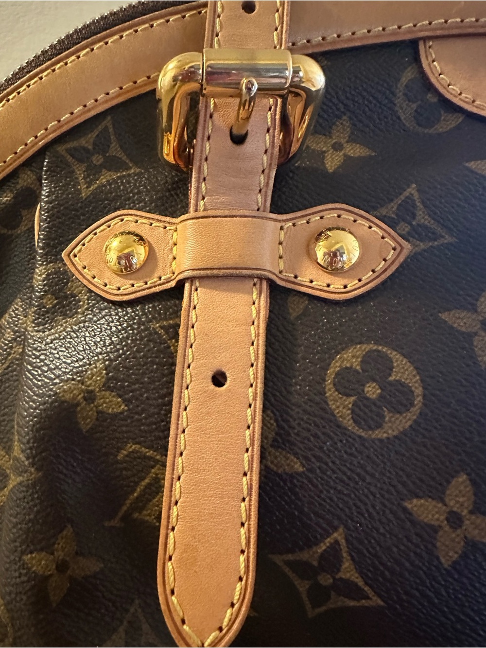 Louis Vuitton Monogram Canvas Shoulder Bag in Brown and Tan - Picture 2 of 16